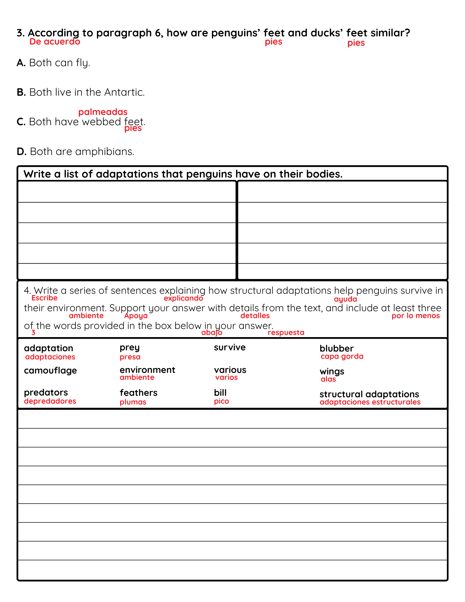 NJSLA Reading Comprehension Worksheet Benchmark Grade 3 Unit 1 Week 3 Day 1 | Penguin Adaptations Informational Text | Part A Part B Writing ELA Activity Bilingual English Spanish
