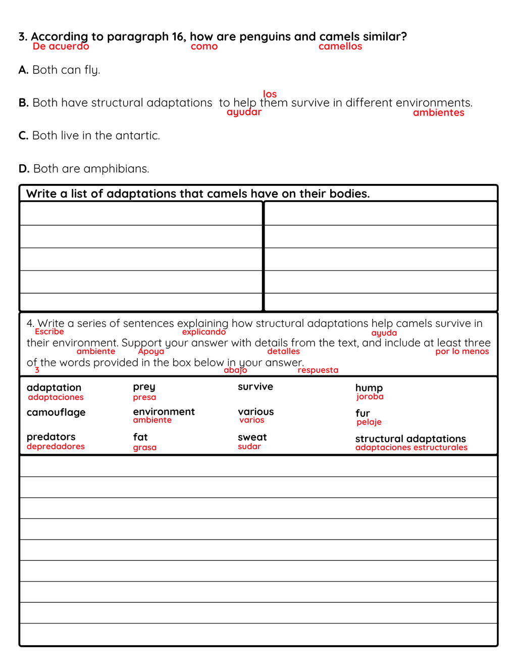 NJSLA Reading Comprehension Worksheet Benchmark Grade 3 Unit 1 Week 3 Day 2 | Camel Adaptations Informational Text | Part A Part B Writing ELA Activity Bilingual English Spanish