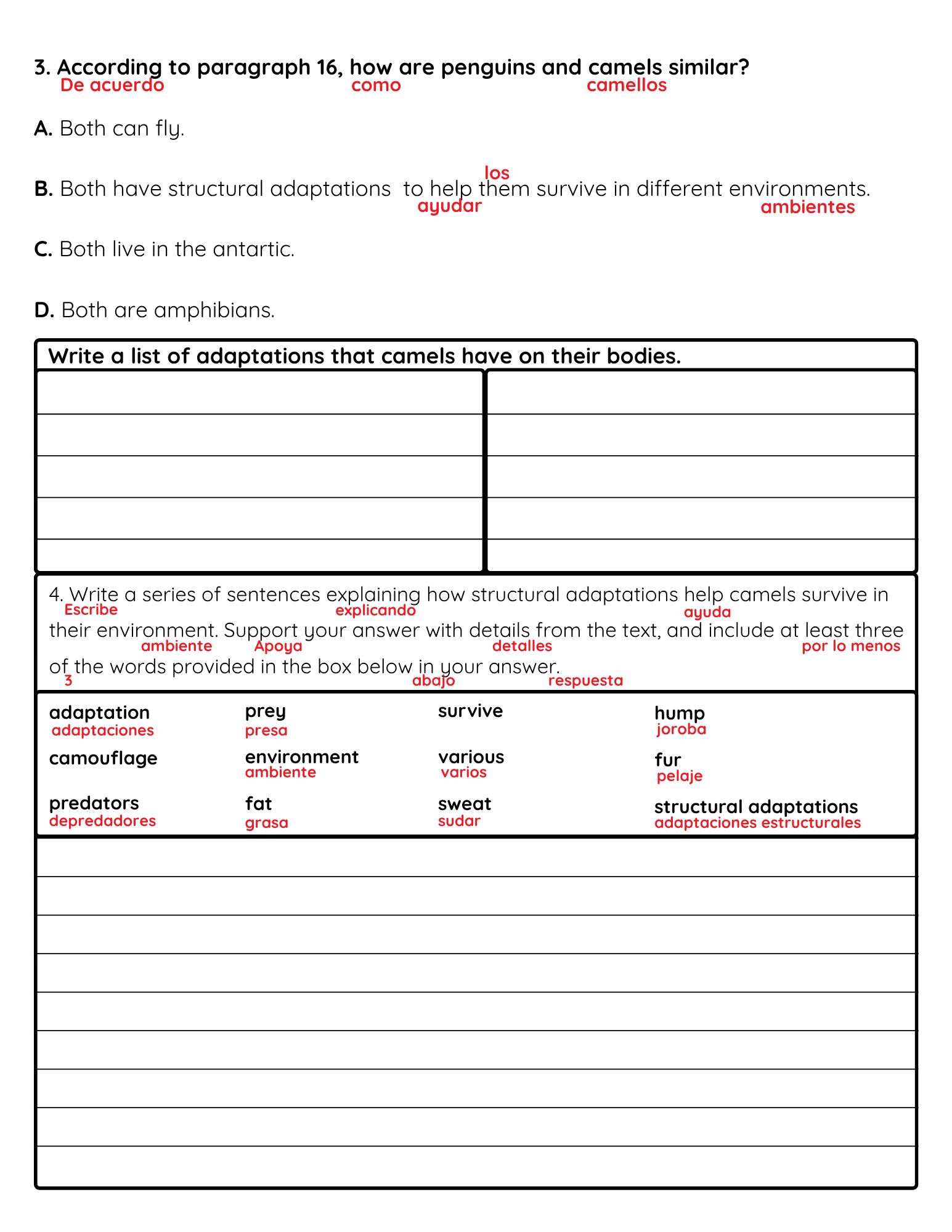 NJSLA Reading Comprehension Worksheet Benchmark Grade 3 Unit 1 Week 3 Day 2 | Camel Adaptations Informational Text | Part A Part B Writing ELA Activity Bilingual English Spanish