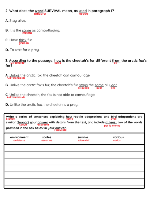 NJSLA Reading Comprehension Worksheet Benchmark Grade 3 Unit 1 Week 2 Day 1 | Animal Body Coverings Informational Text | Part A Part B Writing ELA Activity Bilingual English Spanish